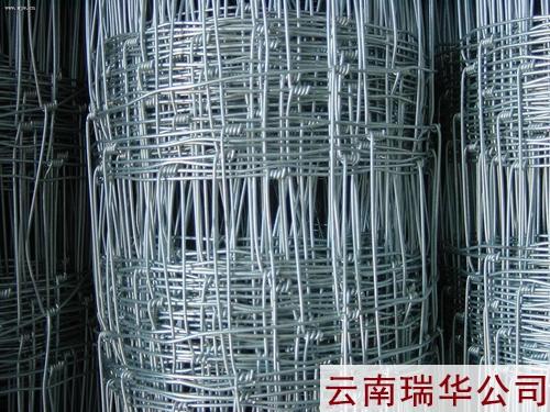 草原網(wǎng)