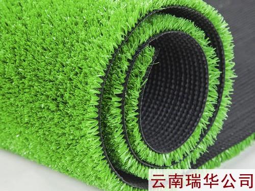 草坪網(wǎng)